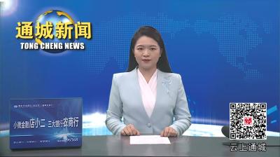 视频-阳光交易 智惠通城 通城县公共资源交易中心开展“平台开放日”活动