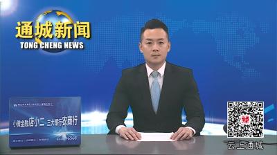 视频-中共通城县十五届县委审计委员会第五次会议召开 