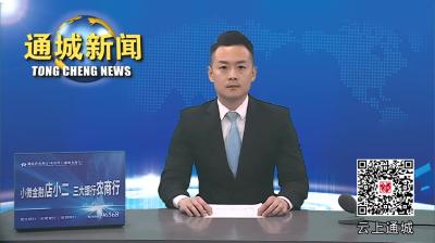 视频-通城召开县级层面整治形式主义为基层减负专项工作机制会议 