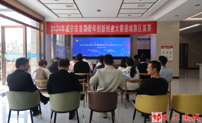 2024年咸宁市首届青年创新创业大赛通城赛区复赛圆满举办