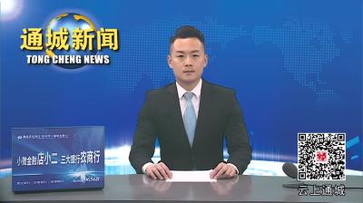 视频-刘中英到深圳开展招商考察活动 