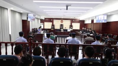 视频-通城县人民法院公开庭审2起污染环境罪案件 