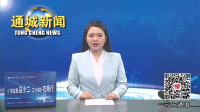 视频-通城县政协开展“一线协商”助力美丽屋场建设专题协商活动 