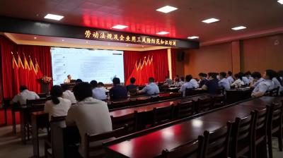 视频-通城县开展劳动法规及企业用工风险防范知识培训 