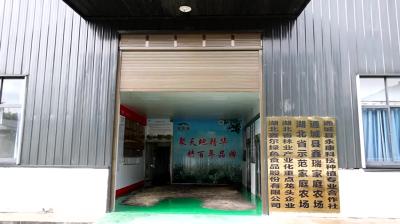 视频-通城县2023年度县级放心消费示范单位名单出炉
