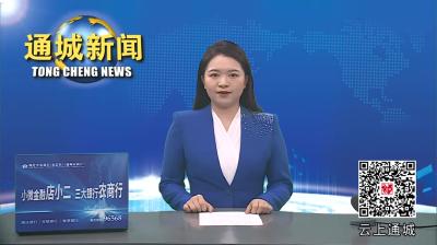 视频-通城县召开《中华人民共和国长江保护法》贯彻实施情况专项督察工作部署会 