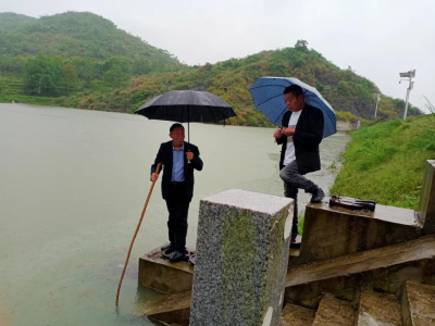 【“聚力共同缔造•共建隽秀通城”人大代表在行动】通城县塘湖镇：防汛正当时 人大代表在行动