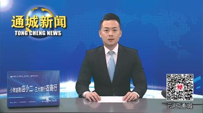视频-通城：书记带团跑订单 助企跑出“加速度”