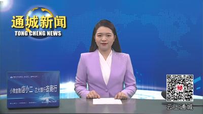 视频-通城县政协到北港开展“送健康 送戏剧”下乡活动 