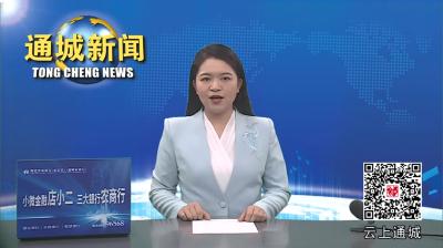 视频-咸宁市委常委、咸宁军分区政委王盛来通城检查防汛工作 