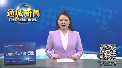 视频-通城县召开配合第三轮中央生态环境保护督察组进驻湖北省督察工作督办会