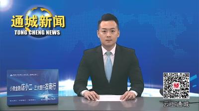 视频-市委统战部来通城调研新乡贤统战工作