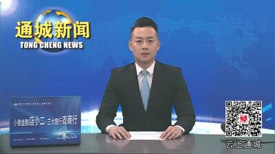 视频-通城县第四次全国文物普查领导小组第一次会议召开 