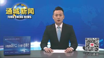 视频-2024年“平安咸宁全域提升”通城工作团第一次会议召开 