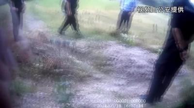 视频-轻信偏方！通城一村民种植两百余株罂粟被拘
