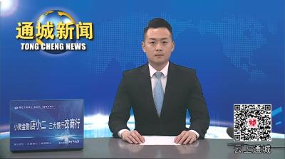 视频-通城县关心下一代工作会议召开 