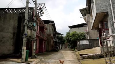 视频-通城县四庄乡：修建便民桥 接通幸福路