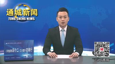 视频-咸宁市2024年“5.12”全国防灾减灾日宣传活动在通城县启动