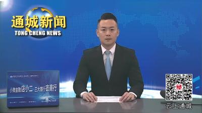 视频-通城县领导督导检查“五一”期间安全生产工作