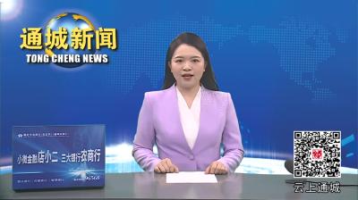 视频-通城县召开2023年度国家机关“谁执法谁普法”普法责任制履职报告评议暨2024年守法普法协调小组（扩大）会议
