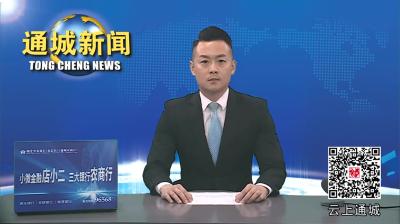 视频-通城：集体婚礼引领移风易俗新“婚”尚 