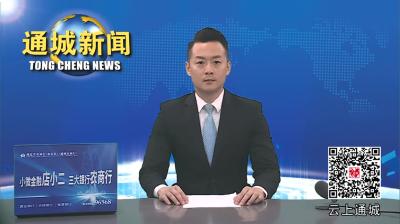 视频-刘中英督办第三轮中央环保督察发现问题整改和信访件办理工作
