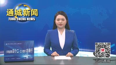 视频-【“聚力共同缔造•共建隽秀通城”人大代表在行动③】深入基层听民声 凝心聚力解难题 
