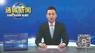 视频-2024年通城县委农村工作会议召开
