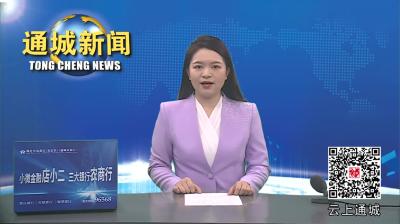 视频-通城县召开2024年下半年征兵工作动员部署暨国防后备力量建设推进会