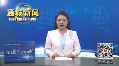 视频-县委平安通城建设领导小组2024年第二次全体（扩大）会议召开