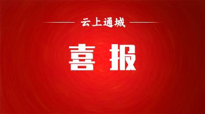 喜报！通城2个单位、5名个人和4个集体荣获市级表彰通报