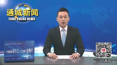 视频-通城县人民政府党组召开党纪学习教育读书班集中研讨会议