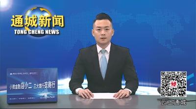 视频-咸宁市人民检察院来通城调研检察工作 