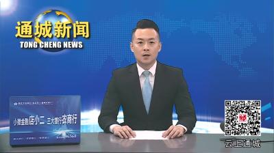 视频-通城县人大常委会调研2023年全县环境保护工作完成情况及小流域综合治理工作 