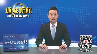 视频-资金回笼快、利润高？通城公安破获一起特大诈骗案，涉案金额500万余元