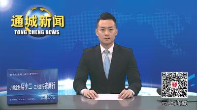 视频-通城县领导干部警示教育会召开 刘中英讲纪律教育党课