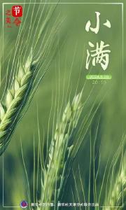 节令之美｜小满遇上“520”，愿你圆圆满满