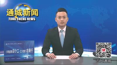 视频-刘中英督导检查全县防汛工作 