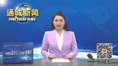 视频-通城县收听收看全市防汛抗旱视频调度会议