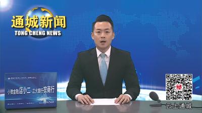 视频-2024年第8次通城县政府常务会议召开 