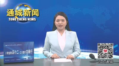 视频-刘中英在全市县处级主要领导干部“学习贯彻党的二十大精神 推进中国式现代化咸宁实践”专题培训班上作分享交流