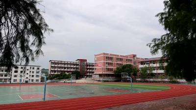 视频-通城县马港镇：传统文化进校园 书法传承翰墨香