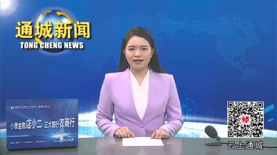 视频-通城县领导到大坪乡花墩村讲纪律教育党课