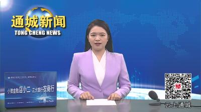 视频-通城县部署落地项目推进工作 