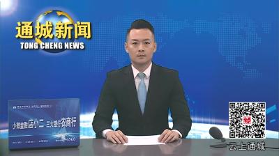 视频-通城县第十九届人大常委会第十五次全体会议召开 