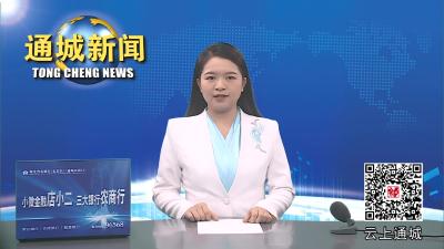视频-以“演”促防 以“练”备战 通城县举行山洪灾害转移避险实战演练