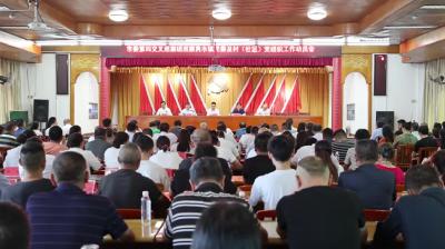 视频-市委第四交叉巡察组进驻通城县隽水镇
