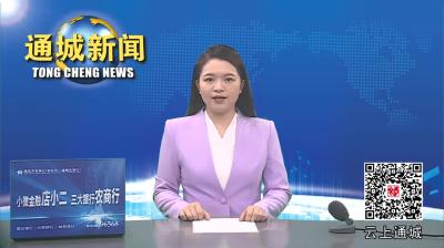 视频-通城县人大常委会召开司法建议、检察建议办理情况座谈会