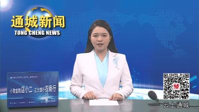 视频-杨修伟徒步巡查菖蒲港河、踏勘项目选址和督办四庄河小流域综合治理工作