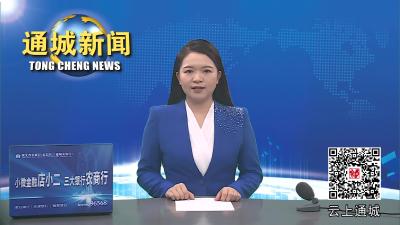 视频-通城县人大常委会调研全县重点领域食品安全工作 